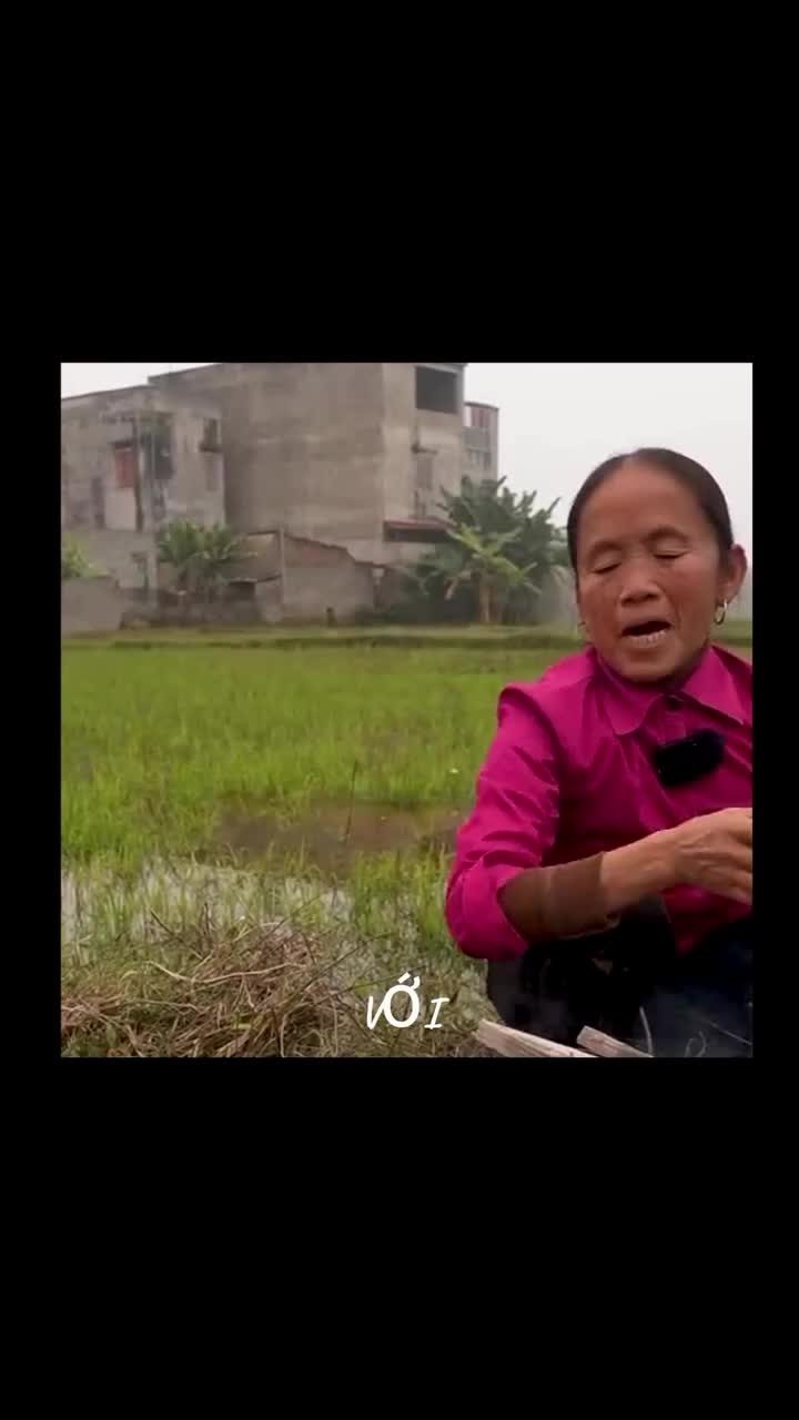 play.anh.moe